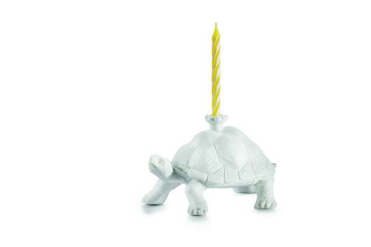 Candlestick - Happy Zoo-Day - Moa (Skildpadde) (210791)