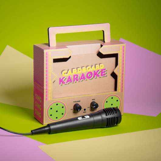 Cardboard Karaoke (22747)
